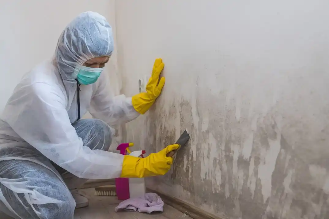 water damage restoration service Perkins Park Area